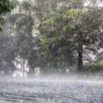 నాకు అమ్మా నాన్న లేరు సార్ మీరే నాకు అమ్మా నాన్న.. నన్ను పాస్ చేయండి సార్