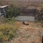 శ్రీకోదండరామునికి చెవిరెడ్డి సారె సమర్పణ – ఆలయంకు వెళ్లిన చెవిరెడ్డి లక్ష్మీ, చెవిరెడ్డి హర్షిత్‌రెడ్డి – సాదర స్వాగతం పలికిన నెన్నూరు గ్రామస్తులు