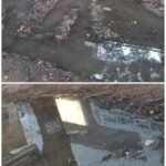 సీతారాంపురం మండలంలో ఘనంగా మట్టల ఆదివారం శుభాకాంక్షలు – క్రీస్తు ప్రేమ, శాంతి సందేశం వెల్లువ