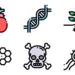 నిద్రలో మెలటోనిన్ విడుదల – ఆరోగ్యానికి ముఖ్యం