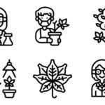 రోగాలు మరియు ప్రభావిత అవయవాలు