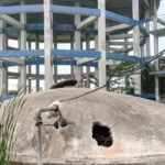 * దేవేందర్ రెడ్డి, విజయలక్ష్మి రాజు ముదిరాజ్ లకు శుభాకాంక్షలు తెలిపిన.అందెల శ్రీరాములు *