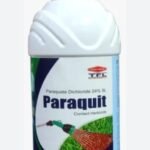 శ్రీ శక్తి పీఠాన్ని సందర్శించిన శ్రీమతి సత్యవాణి, శ్రీమతి శాంత కుమారి