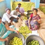 హత్య కేసు లో నిండుతుడికి జీవిత ఖైదు. 10000 జరిమానా.