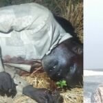 ఇంటర్‌లో మౌనిక ప్రతిభ – 500లో 483 మార్కులు సాధించి గ్రామానికి గౌరవం