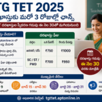 మనుబోలులో డీజిల్ కొరతతో నిలిచిపోయిన జీవనం