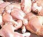 ఈరోజు నుంచి తెలంగాణలో చికెన్‌ షాపులు బంద్‌ ఫౌల్ట్రీ కంపెనీలు మార్జిన్‌ తగ్గించాయని నిరసన