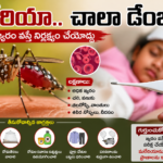 చిన్నారుల నృత్య కళా ప్రదర్శనలను చూసి అభినందించిన పార్లమెంటు సభ్యురాలు శ్రీమతి డికె అరుణ