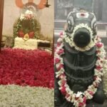 త్రయోదశి సందర్భంగా నందీశ్వరునికి విశేష పూజలు