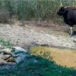 ఒవైసీ కాలేజీ ఆక్రమణలపై హైడ్రా ఎందుకు మౌనంగా ఉంటుంది?