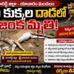మున్సిపల్ చైర్మన్ సి.ఎం. సురేష్ గారిని మర్యాదపూర్వకంగా కలిసిన నూతన కమిషనర్ చంద్రశేఖర్ రావు