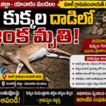 వీధి కుక్కల దాడిలో జింక మృతి – గ్రామ ప్రజల్లో ఆందోళన