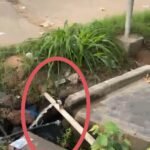 దుత్తలూరు ఏపీ మోడల్ స్కూల్ విద్యార్థులకు నగదు పురస్కారాలు అందజేత