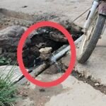 దుత్తలూరు ఏపీ మోడల్ స్కూల్ విద్యార్థులకు నగదు పురస్కారాలు అందజేత