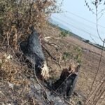 హైవేపై మొక్కజొన్న వ్యర్థాలు – ప్రయాణికులకు ఇబ్బందులు