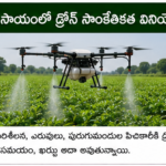 మహిళా స్వయం సహాయక సంఘాలకు మార్కెటింగ్ మద్దతు