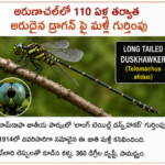 2029 ఎన్నికల్లో మహిళలకు 33% సీట్లు : నారా లోకేష్