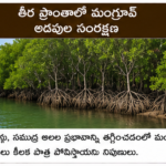 యువ సంగీత దర్శకుల హవా.. కొత్త తరహా పాటలకు ఆదరణ