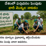 యువతకు కృత్రిమ మేధస్సు శిక్షణ కార్యక్రమాలు