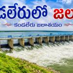 పాములపాటి రాజేష్ ఇక లేరు