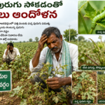 అనుమతులు లేని బెల్ట్ షాపులపై ఎక్సైజ్ శాఖ చర్యలు ఎక్కడ..?*