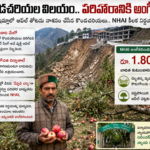 గ్రామాల్లో పారిశుద్ధ్యంపై ప్రత్యేక దృష్టి : ఇన్‌చార్జి డీపీవో వసుమతి