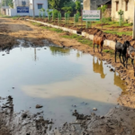 మహిళల ఆర్థికాభివృద్ధే లక్ష్యం | ఎమ్మెల్యే డి.వి. కృష్ణారెడ్డి