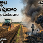 సమస్యల వలయంలో నెల్లూరు కల్యాణ్‌ నగర్