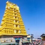 కార్డులపైనే ఎరువుల పంపిణీ