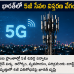 వర్షాల ప్రభావంతో కూరగాయల ధరలు పెరుగుదల
