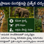 దేశంలో మహిళా పారిశ్రామికవేత్తలకు ప్రోత్సాహం