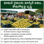 పాఠశాలల్లో క్రీడా కార్యక్రమాలకు ప్రాధాన్యం