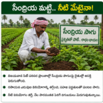 మానసిక వికలాంగురాలిపై లైంగిక దాడి ఘటన కలకలం