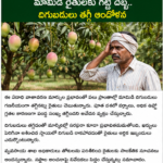 మామిడి రైతులకు గట్టి దెబ్బ.. దిగుబడులు తగ్గి ఆందోళన
