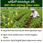 స్పోర్ట్స్ డీఎస్సీ వయోపరిమితి పెంపుపై తీవ్ర చర్చ