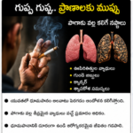 నెరవేరిన ముస్లింల కల