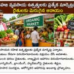 స్మార్ట్ లైబ్రరీల ఏర్పాటు వేగవంతం.. విద్యార్థులకు డిజిటల్ అధ్యయన వేదిక