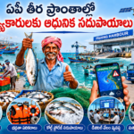 జిల్లాలో మొక్కల పెంపకానికి విస్తృత కార్యక్రమాలు