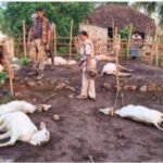 తిరుపతిలో చెడిపోయిన లింగ నిర్ధారణ కేంద్రంపై చర్యలు