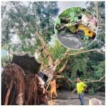 బీఎల్‌వోలకు కిట్ల పంపిణీ