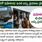 ఇడుక్కిలో అడవి ఏనుగు దాడిలో మహిళ మృతి