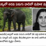 కేరళలో మహిళలకు ఉచిత బస్సు ప్రయాణం ప్రారంభం