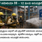 అస్సాంలో విదేశీయులుగా ప్రకటించిన ఐదుగురు మహిళలకు తాత్కాలిక ఊరట
