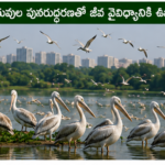 వివేక్ హాస్పిటల్ ఫర్టీలిటి సెంటర్ వారి మేడికల్ క్యాంప్