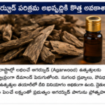 ఈశాన్య రాష్ట్రాల్లో ఆరోగ్య పర్యాటకానికి ప్రాధాన్యం
