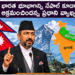 ఐపీఎల్ టైటిల్ గెలిచిన రాయల్ ఛాలెంజర్స్ బెంగళూరు