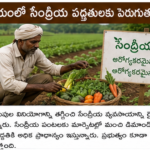 భారత్‌లో మహిళా పారిశ్రామికవేత్తల సంఖ్య పెరుగుతోంది