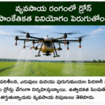 భారత్‌లో ఎలక్ట్రిక్ వాహనాల వినియోగం పెరుగుతోంది