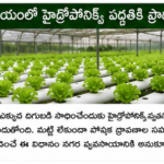 భారత్‌లో రోబోటిక్స్ రంగానికి కొత్త అవకాశాలు