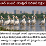 అన్నామలై కొత్త రాజకీయ ఉద్యమానికి శ్రీకారం